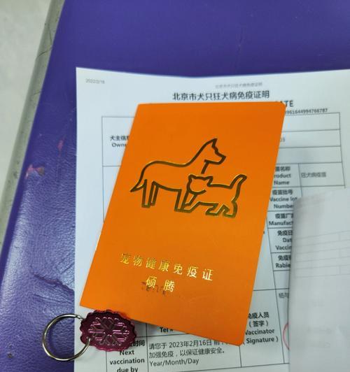 狗抗体检测的重要性与核心应用领域解析