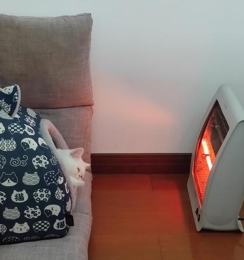 泰迪犬打哆嗦原因分析及应对方法，帮助爱犬恢复平静