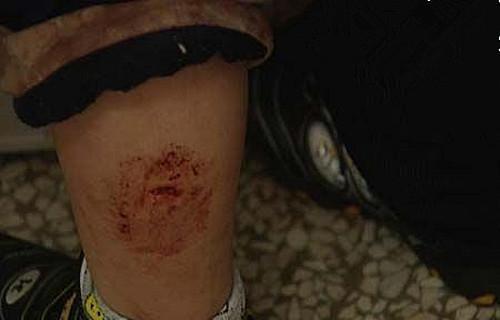 老血狗含义解析：网络热词背后的文化内涵与年轻态度