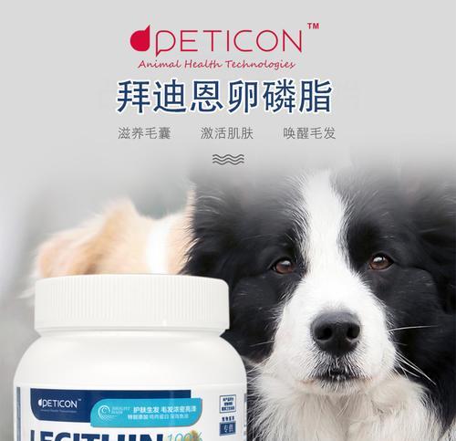 狗狗的健康营养（详细解析不同品牌卵磷脂的成分及对狗狗健康的影响）