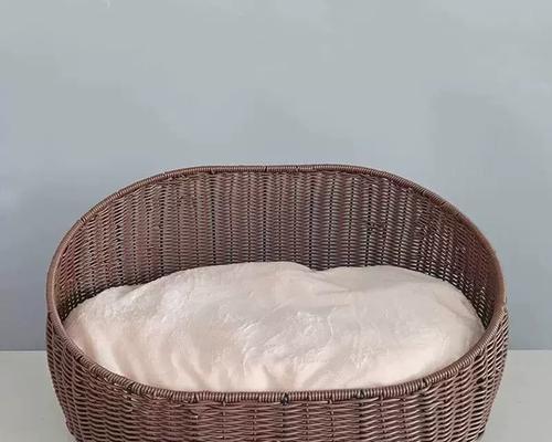 以泰迪配窝，照顾你的宠物伙伴（关注泰迪配窝的注意事项和关键要点）