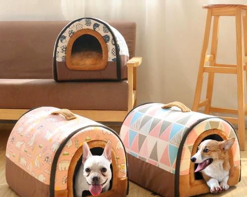 泰迪配窝全攻略：打造宠物安全舒适小家的关键要点