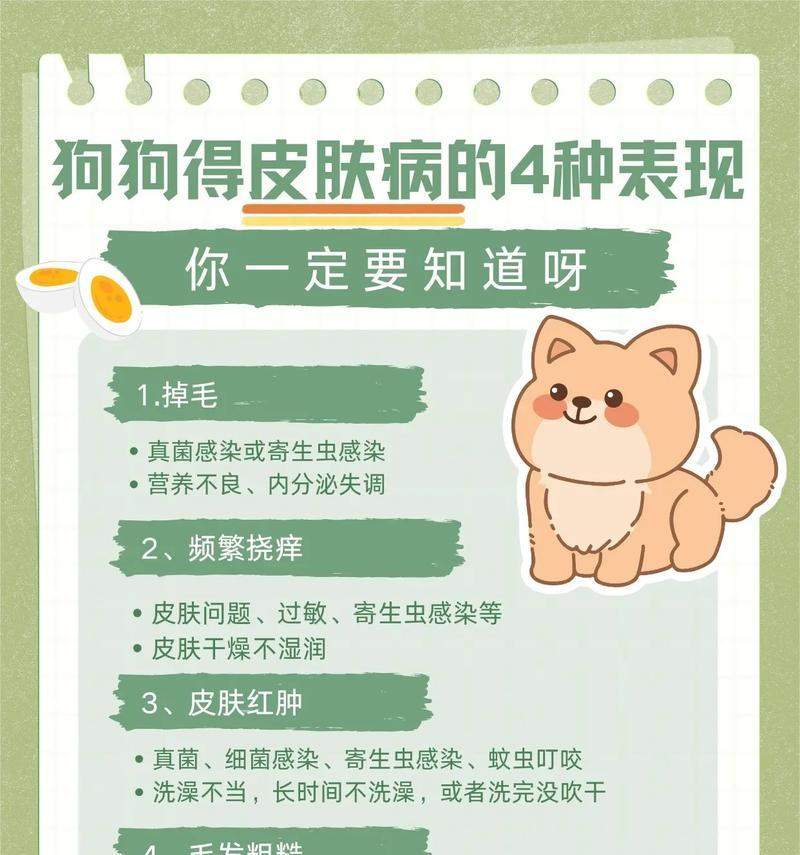 狗狗皮肤病治疗方法与药物选择指南