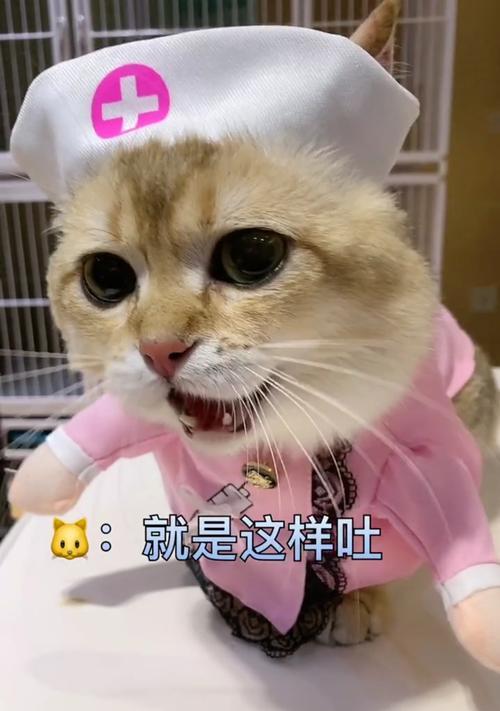 狗狗舌头烂了怎么办？药物治疗助您快速康复（了解狗狗舌头烂的原因及常用药物治疗方法）