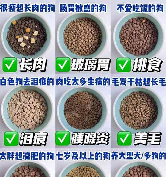 如何通过营养均衡狗粮管理狗狗体重？关键选择与喂养指南