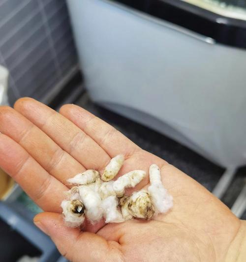 选择适合的洗浴用品，让你享受最佳洗澡体验（什么洗浴用品最适合你？为你的肌肤选择正确的护理品）