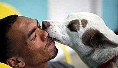 狗狗为什么爱舔主人嘴巴？揭秘舔舐行为背后的情感动机