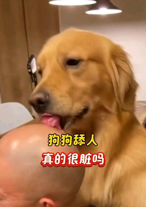 为什么狗狗喜欢舔主人的嘴？（探寻狗狗舔嘴行为的原因与动机）