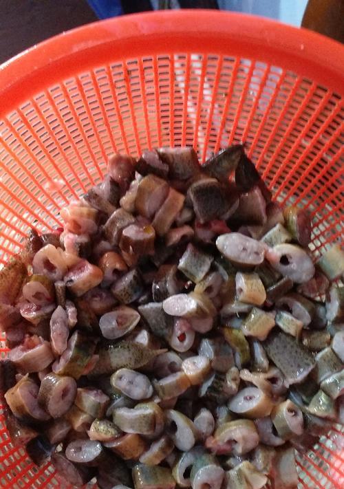 科学饲养银龙鱼指南，从饮食到环境打造健康生长方案