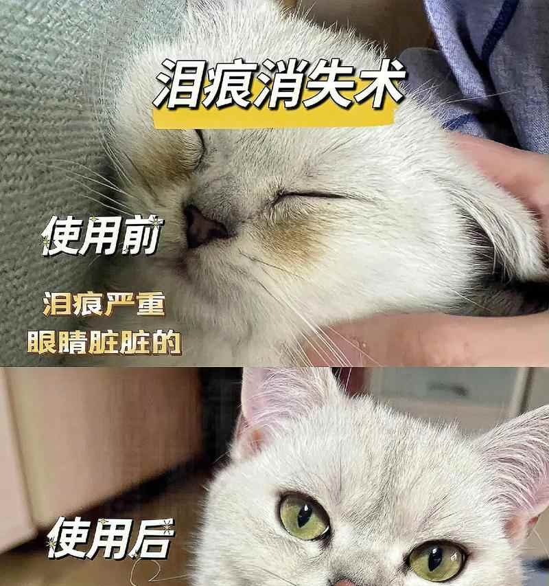 揭秘眼屎的成因与作用，了解眼睛健康的秘密信号