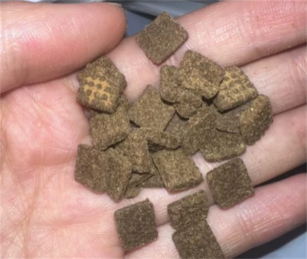 国产烘焙粮测评 国产烘焙粮测评