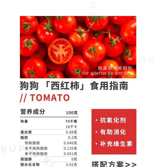 小狗受伤用什么药？常见伤口处理与加速恢复用药指南