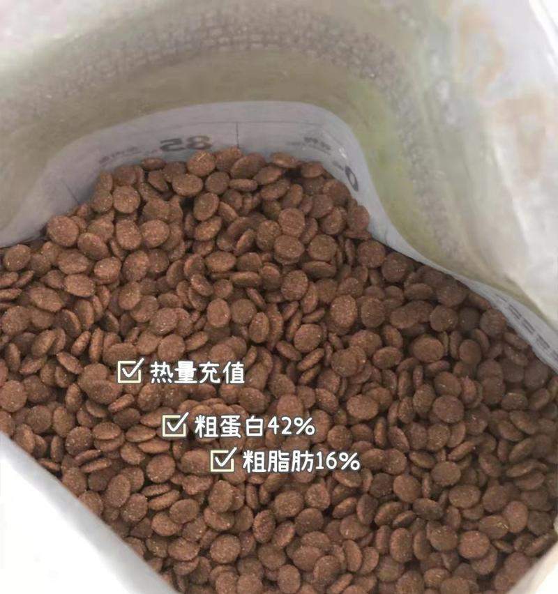猫咪粪便臭味重的原因与解决方法，科学分析异味来源