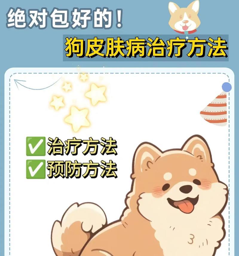 狗皮肤病用药指南：如何根据病因选择合适药物治疗