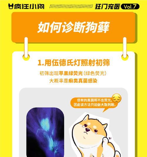 狗皮肤病用药指南：如何根据病因选择合适药物治疗