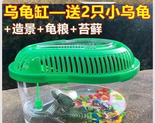 小女孩适合养什么宠物？15种选择助力成长与责任培养