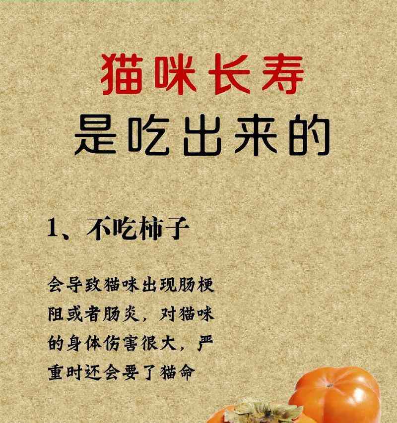 猫咪清淡饮食指南：健康食谱选择与营养搭配要点