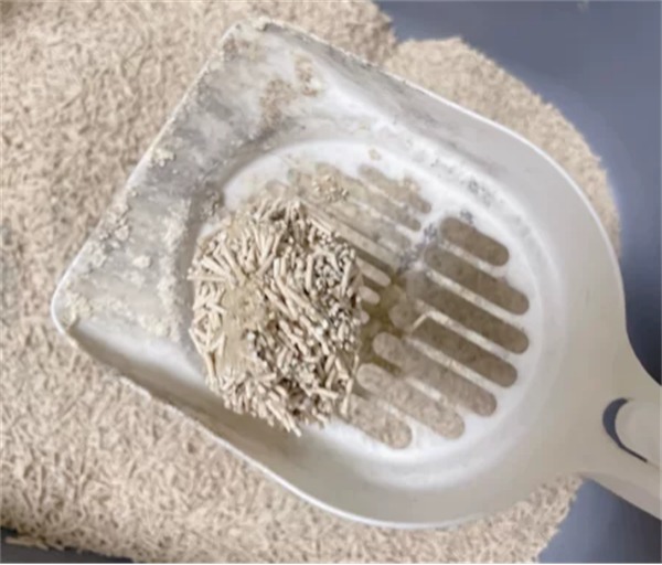 谷物猫砂实测 谷物猫砂实测