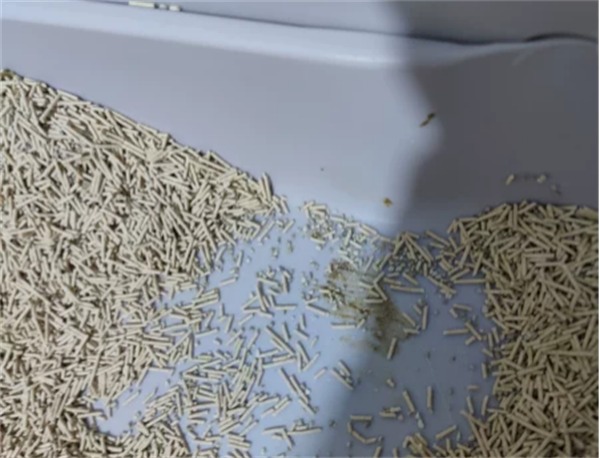 谷物猫砂粘底吗 谷物猫砂粘底吗