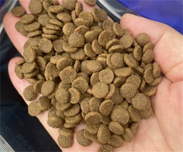 胖小虎狗粮实测