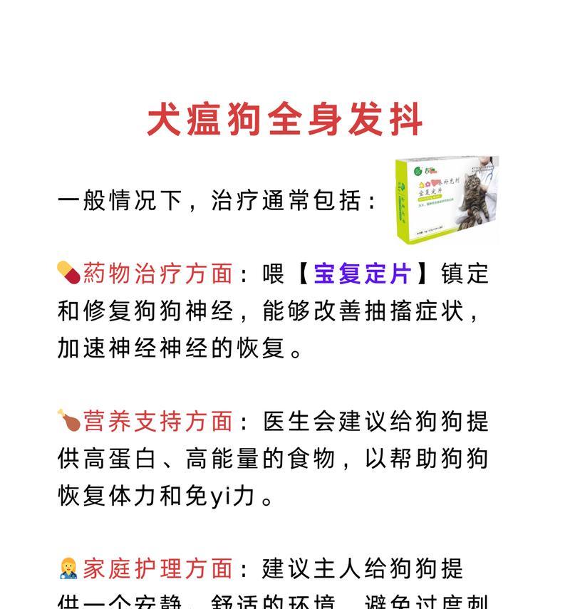 详解犬瘟的症状及预防方法（了解犬瘟的临床表现和保护你的爱犬健康）