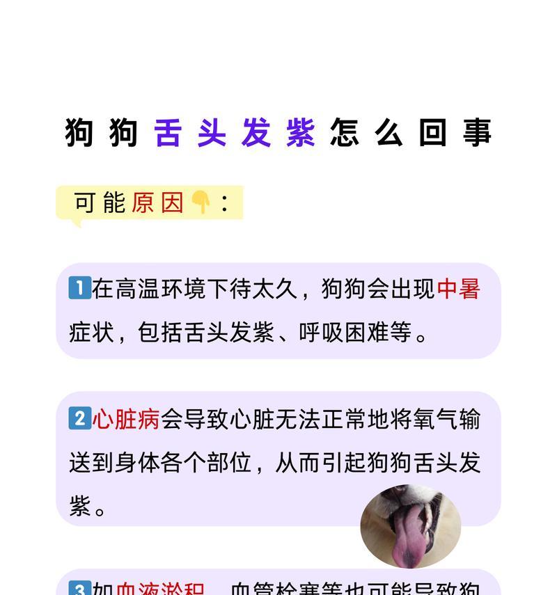 为什么狗会伸出舌头？（揭秘狗的舌头行为，探究其原因和意义）