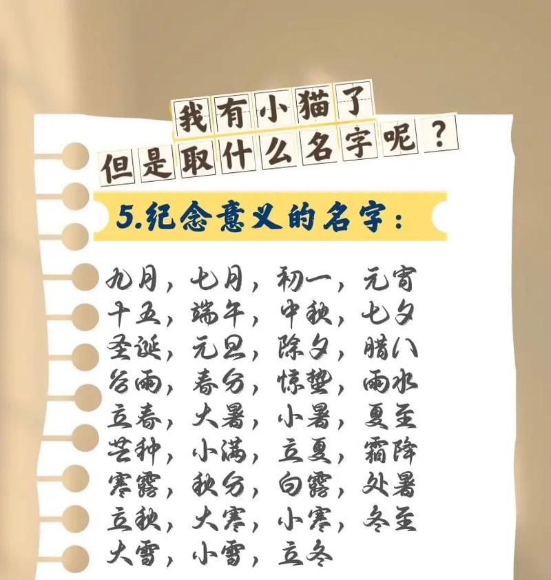 宠物起名灵感大全：15个创意名字为爱宠增添独特个性