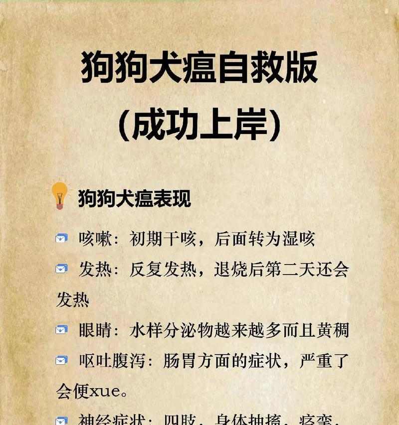 犬瘟症状详解与预防指南，科学守护爱犬健康