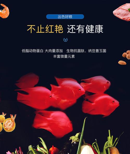 鹦鹉鱼苗科学饲养指南，新手也能轻松养出健康小鱼