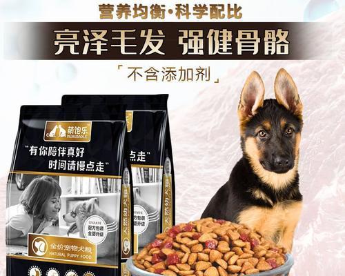 如何为可卡成犬挑选高性价比狗粮？掌握饮食需求与选购技巧