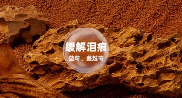 布兰德猫粮怎么样