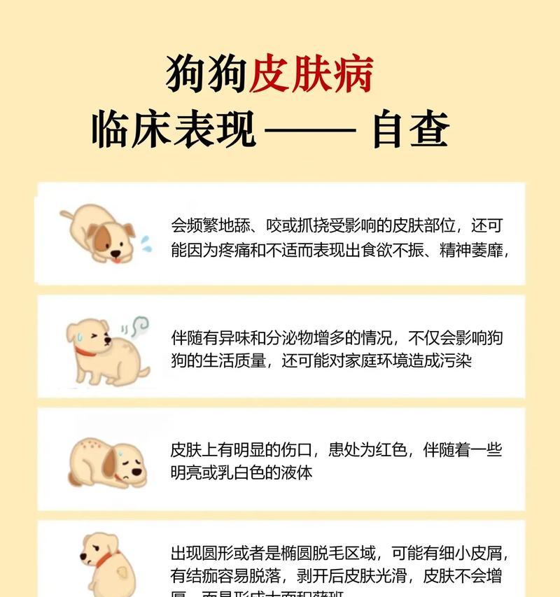 狗狗皮肤病饮食管理指南：关键营养素与喂养技巧