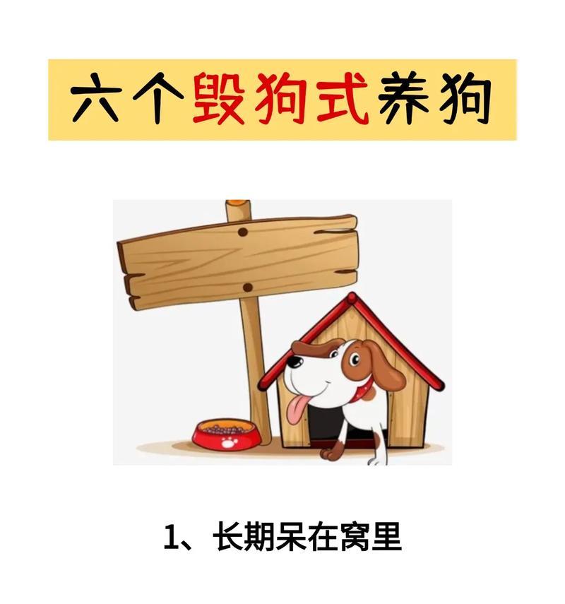 养狗前必备条件指南：打造安全舒适的狗狗生活环境