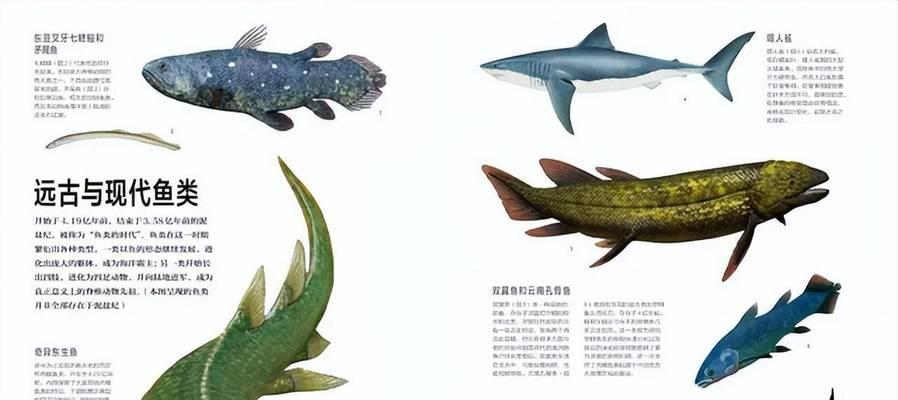 鱼在水中呼吸急促的原因（深入探究鱼类呼吸机制与环境适应力）