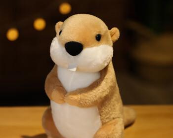 小头大身的玩偶（探索玩偶设计中的身体比例与头部尺寸之谜）