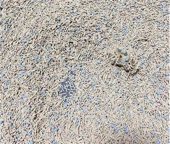 元气怪兽猫砂好用吗 元气怪兽猫砂好用吗