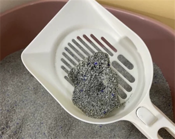 喵洁客猫砂结团好吗