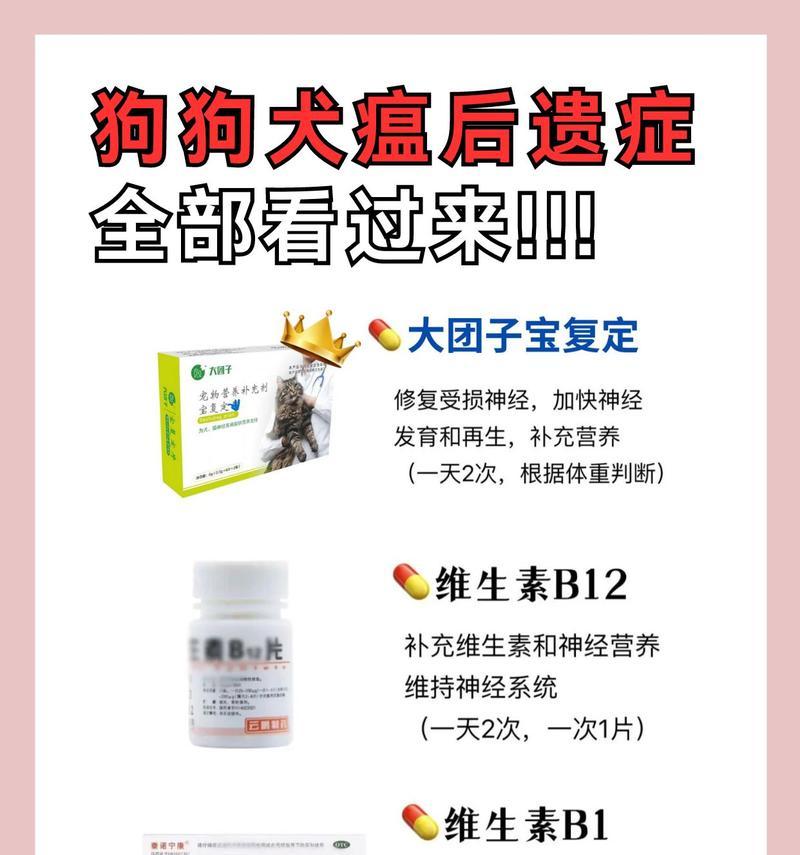 犬瘟药物治疗的有效方法（探索狗病毒感染的治疗手段，让你的爱宠重获健康）