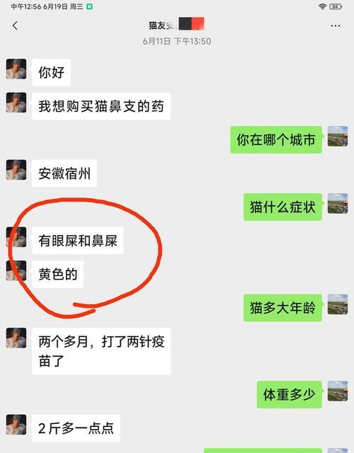 猫咪流眼屎的常见原因及有效解决方法，守护爱宠眼部健康