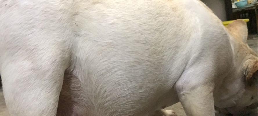 怀孕64天的症状及应对措施(了解怀孕初期的身体变化,做好孕期保健) 怀孕64天的症状及应对措施(了解怀孕初期的身体变化,做好孕期保健)