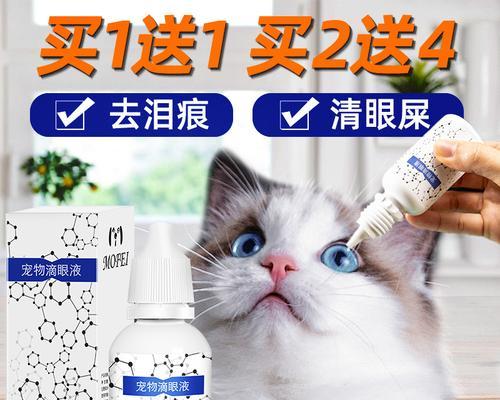 狗狗眼睛消肿的有效药物与自然疗法全攻略