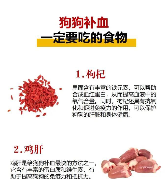 狗狗蛋白质补充指南：如何通过饮食让爱犬保持健康活力