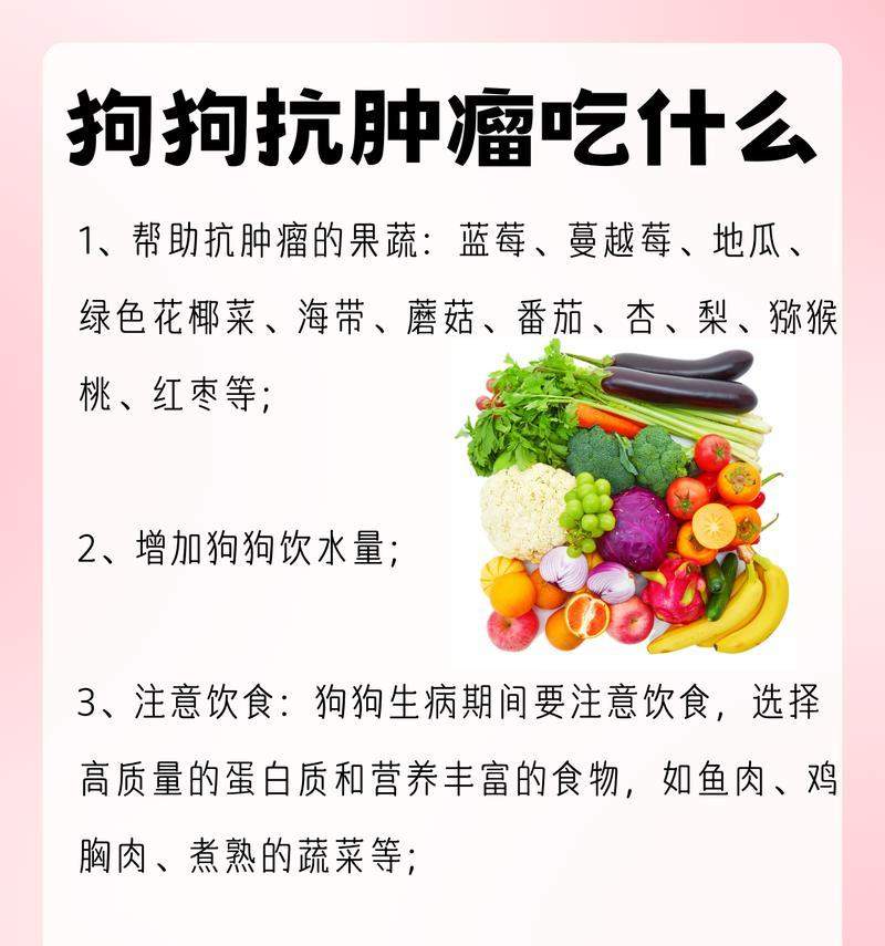 狗狗的蛋白补充（通过饮食补充蛋白质，让你的狗狗保持健康和活力）