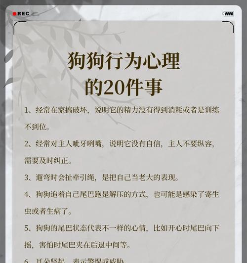为什么狗狗会追自己的尾巴？（探究狗狗追尾巴的原因及行为背后的心理因素）