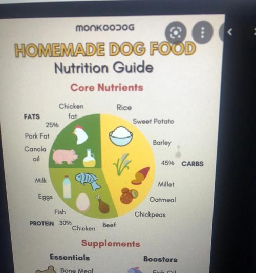 拉布拉多的营养需求与饮食搭配（探究拉布拉多犬的健康饮食要点与注意事项）