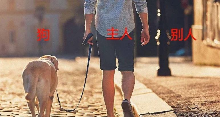 为什么狗狗要咬自己的腿?(探究狗狗咬腿行为的原因和解决方法) 为什么狗狗要咬自己的腿?(探究狗狗咬腿行为的原因和解决方法)