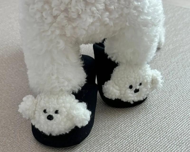 为什么狗狗那么喜欢拖鞋?(揭秘狗狗喜欢拖鞋的原因及解决方法) 为什么狗狗那么喜欢拖鞋?(揭秘狗狗喜欢拖鞋的原因及解决方法)