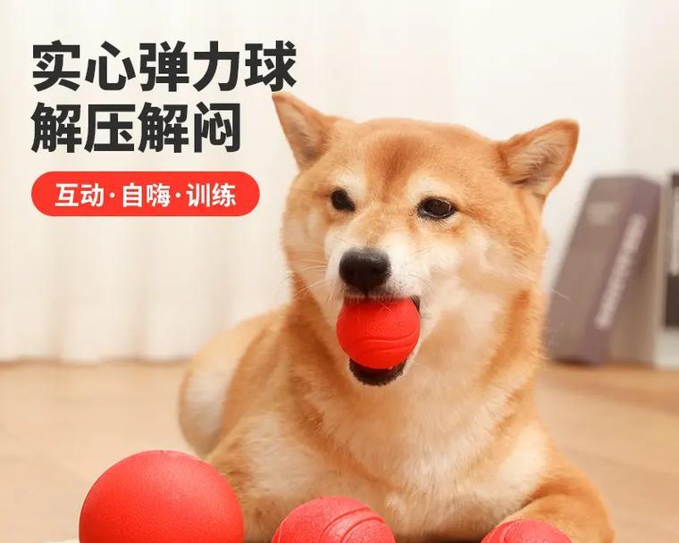 小狗训练中最适合的球类及其好处（以网球为例，揭秘小狗训练中最佳球类选择和方法）