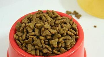 如何为你的金毛成犬提供最好的饮食?(全面了解金毛成犬的饮食需求,让你的宠物更健康快乐) 如何为你的金毛成犬提供最好的饮食?(全面了解金毛成犬的饮食需求,让你的宠物更健康快乐)