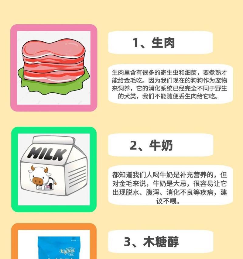 金毛成犬饮食指南：营养需求与喂养要点全解析